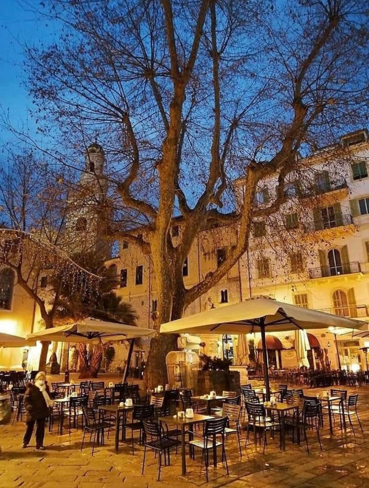 דירות Casa Girasole Sanremo Centro מראה חיצוני תמונה